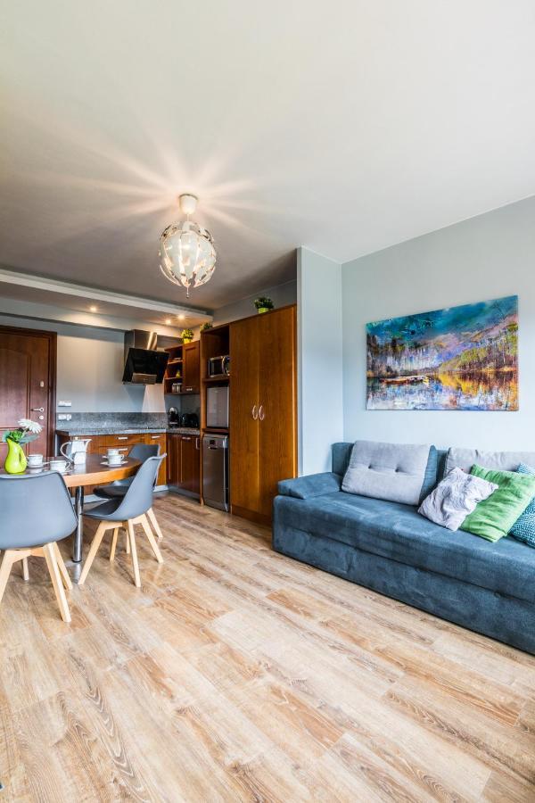 Apartament Srebrzysty Tatary زاكوباني المظهر الخارجي الصورة