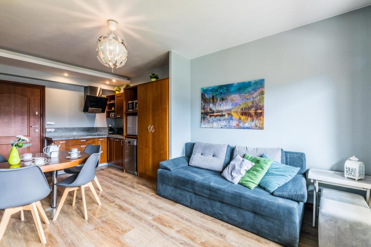 Apartament Srebrzysty Tatary زاكوباني المظهر الخارجي الصورة
