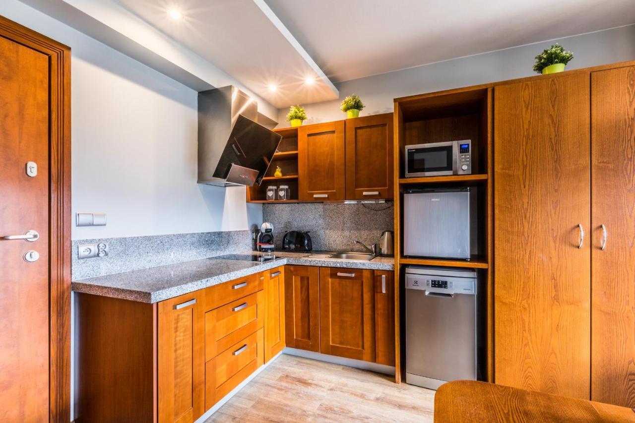 Apartament Srebrzysty Tatary زاكوباني المظهر الخارجي الصورة