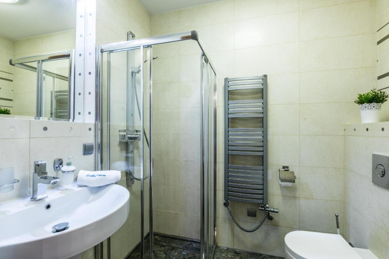 Apartament Srebrzysty Tatary زاكوباني المظهر الخارجي الصورة
