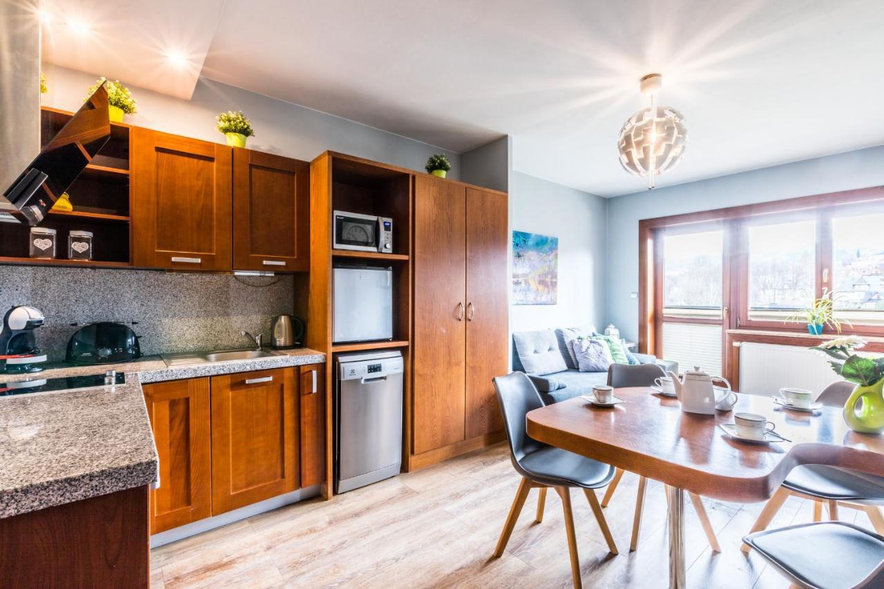 Apartament Srebrzysty Tatary زاكوباني المظهر الخارجي الصورة
