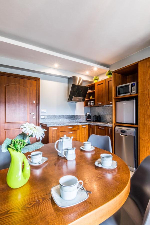 Apartament Srebrzysty Tatary زاكوباني المظهر الخارجي الصورة