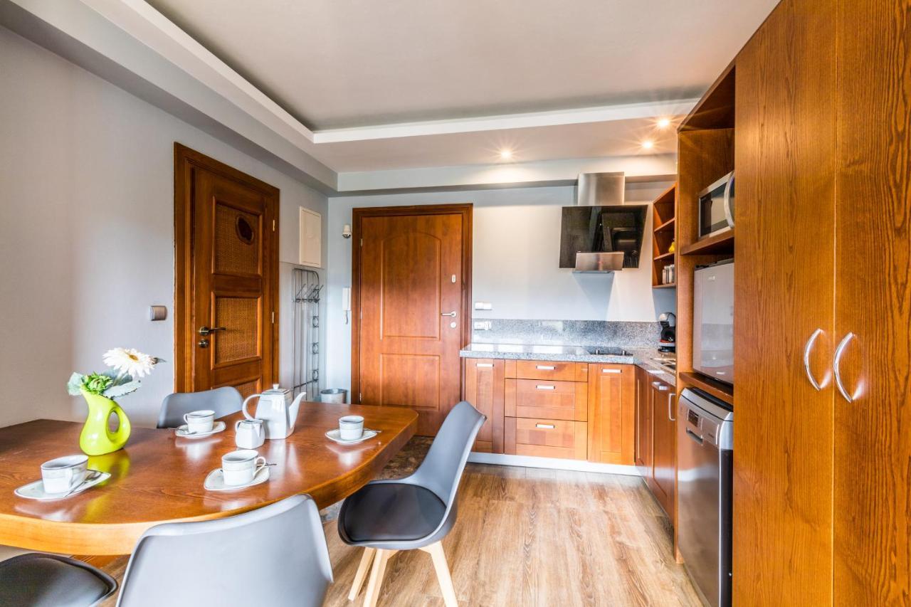 Apartament Srebrzysty Tatary زاكوباني المظهر الخارجي الصورة